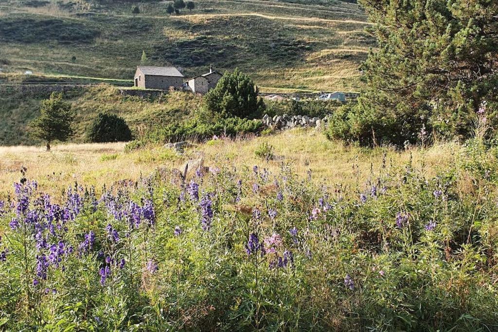 Acollidor Estudi Amb Encant Nordic I Amb Parquing, Al Costat De Grandvalira Канилло Экстерьер фото